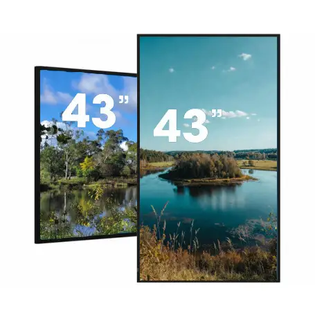 Pantalla LCD 43" Interior